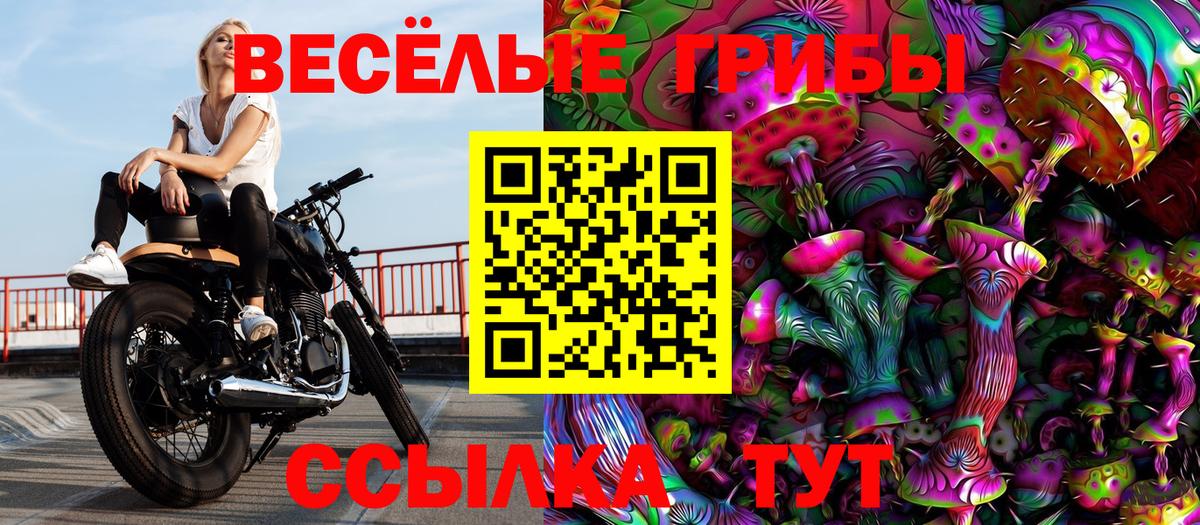Галлюциногенные грибы Psilocybe  Псилоцибиновые грибы GOLDEN TEACHER  Вход с VPN  Беслан 