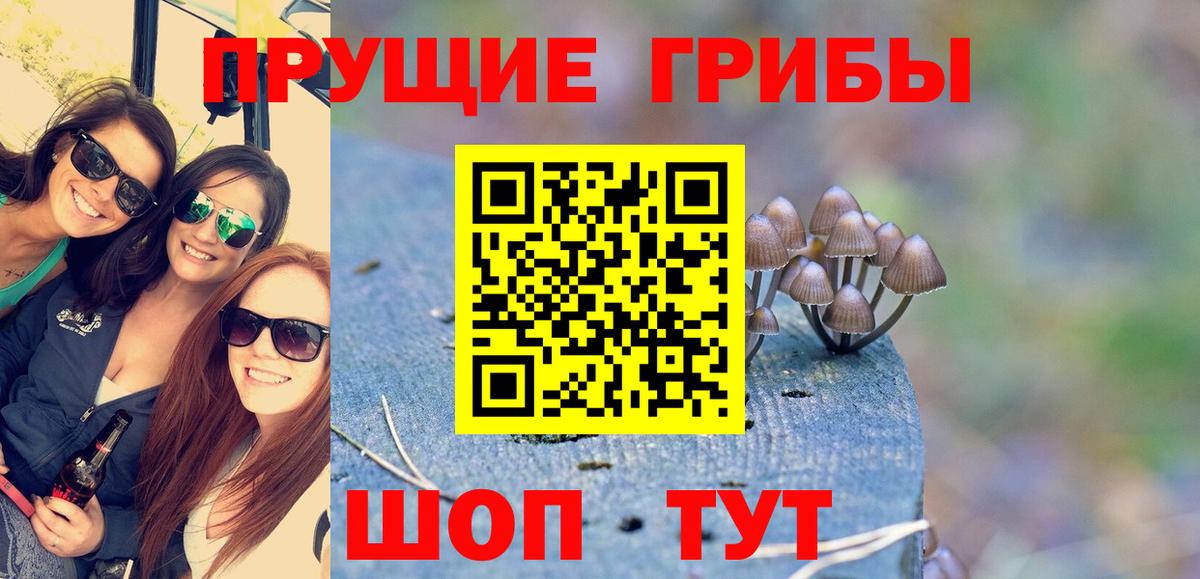 Псилоцибиновые грибы MAGIC MUSHROOMS  Псилоцибиновые грибы прущие грибы  Беслан 