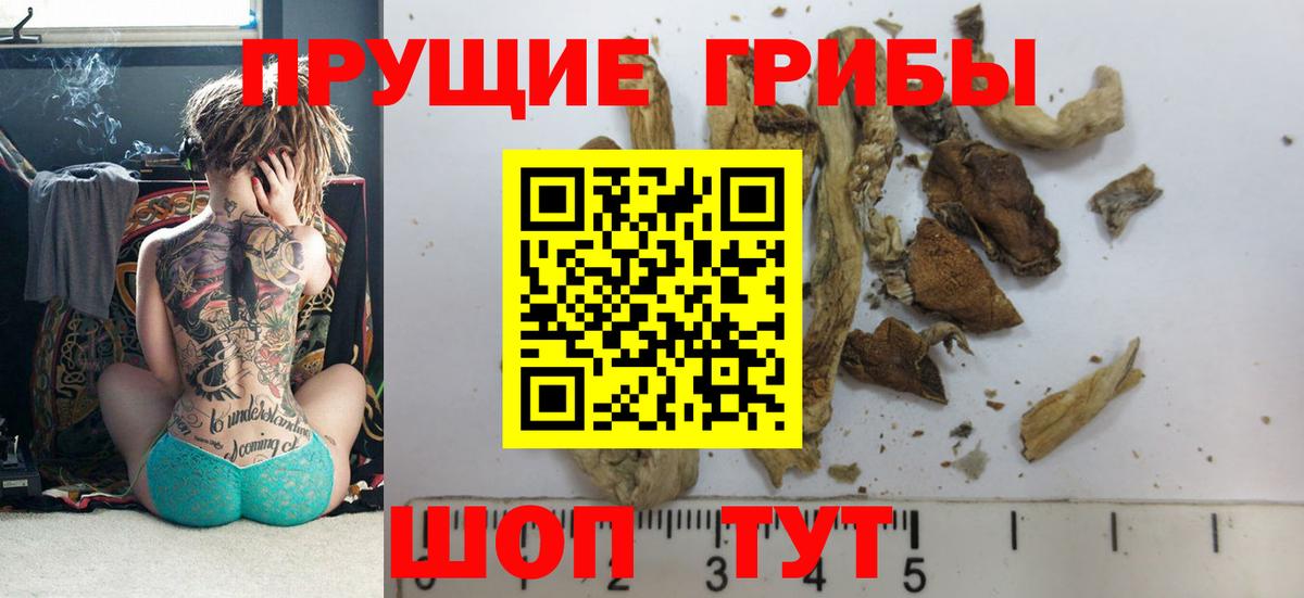 Псилоцибиновые грибы GOLDEN TEACHER Беслан