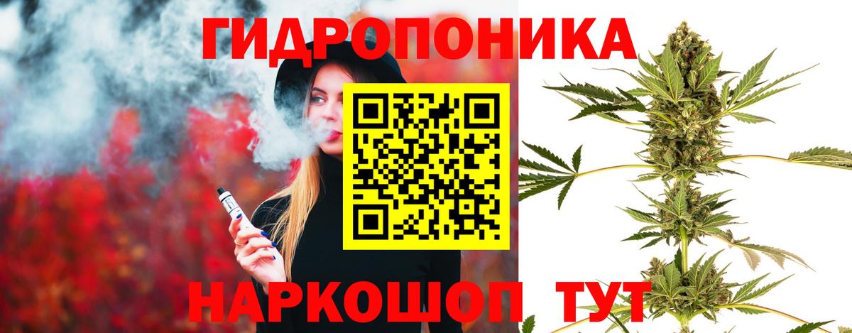 Каннабис OG Kush Беслан